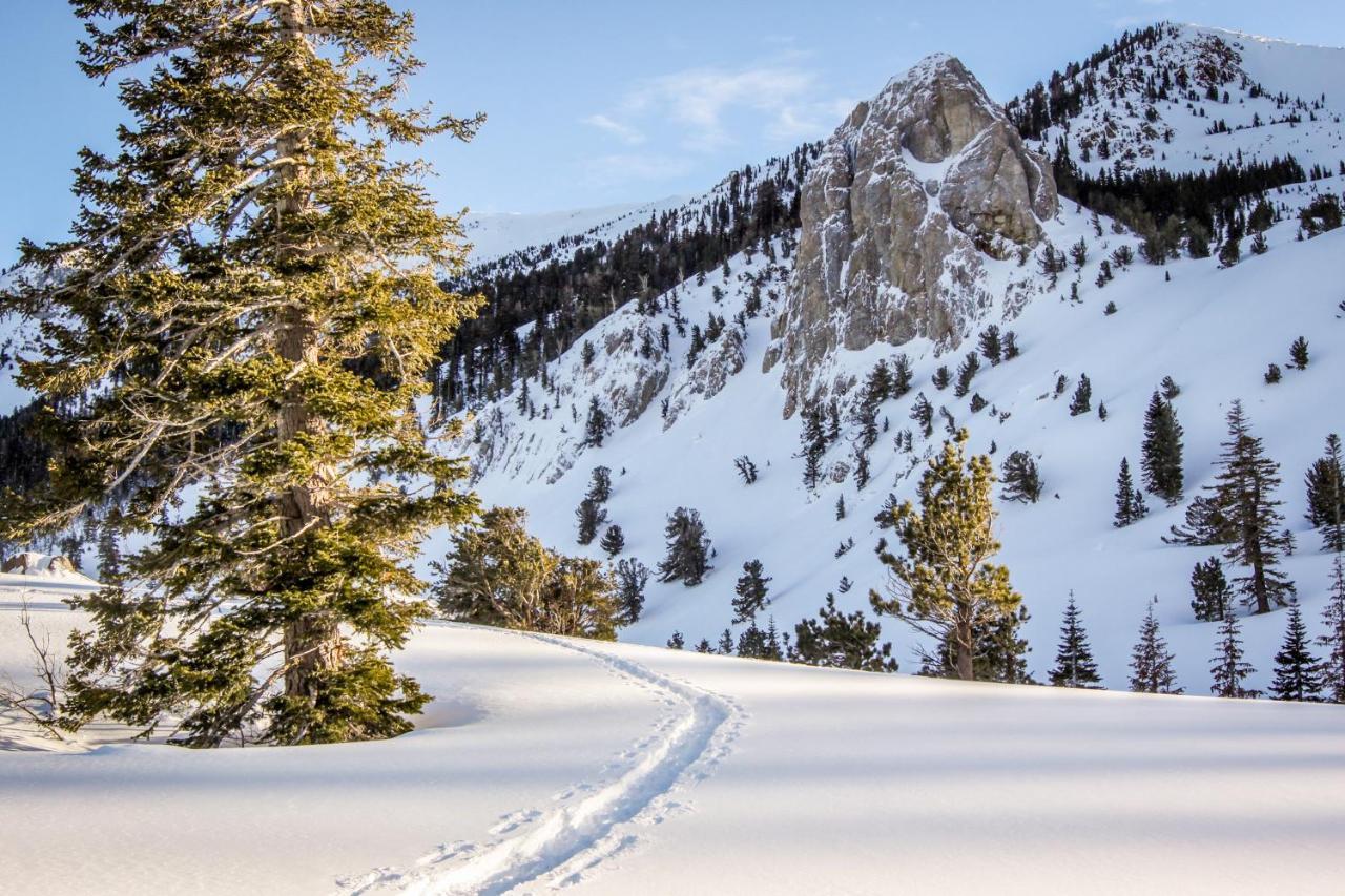 Crestview Villa Mammoth Lakes Kültér fotó